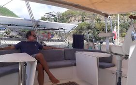 Catamaran Cypraea