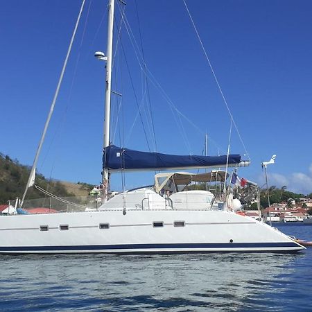 Hôtel Catamaran Cypraea à Terre-De-Haut Extérieur photo
