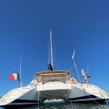 Hôtel Catamaran Cypraea à Terre-De-Haut Extérieur photo