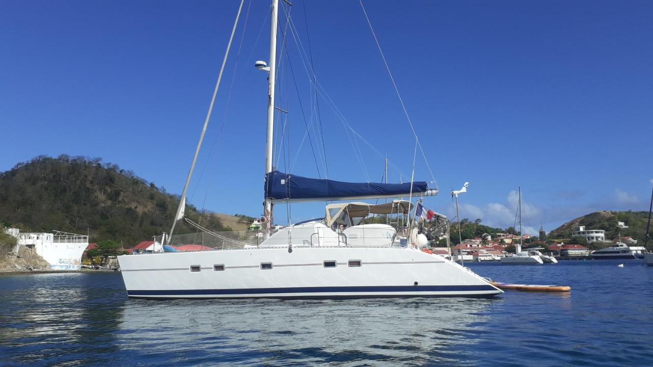 Hôtel Catamaran Cypraea à Terre-De-Haut Extérieur photo