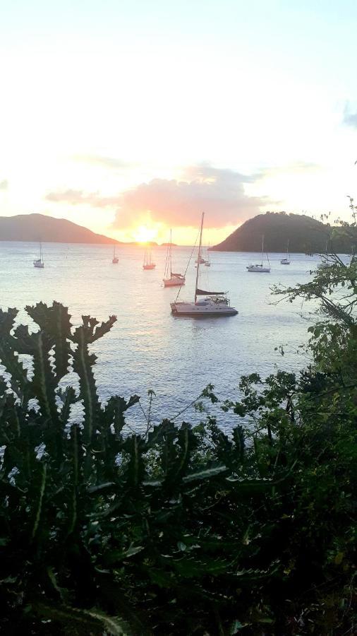 Hôtel Catamaran Cypraea à Terre-De-Haut Extérieur photo
