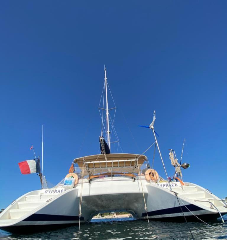 Hôtel Catamaran Cypraea à Terre-De-Haut Extérieur photo